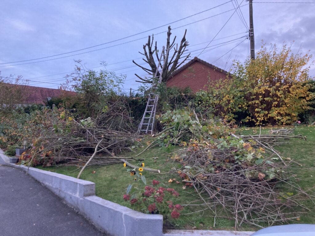 Elagage d'un arbre prés d'une clôture mitoyenne d'un chemin