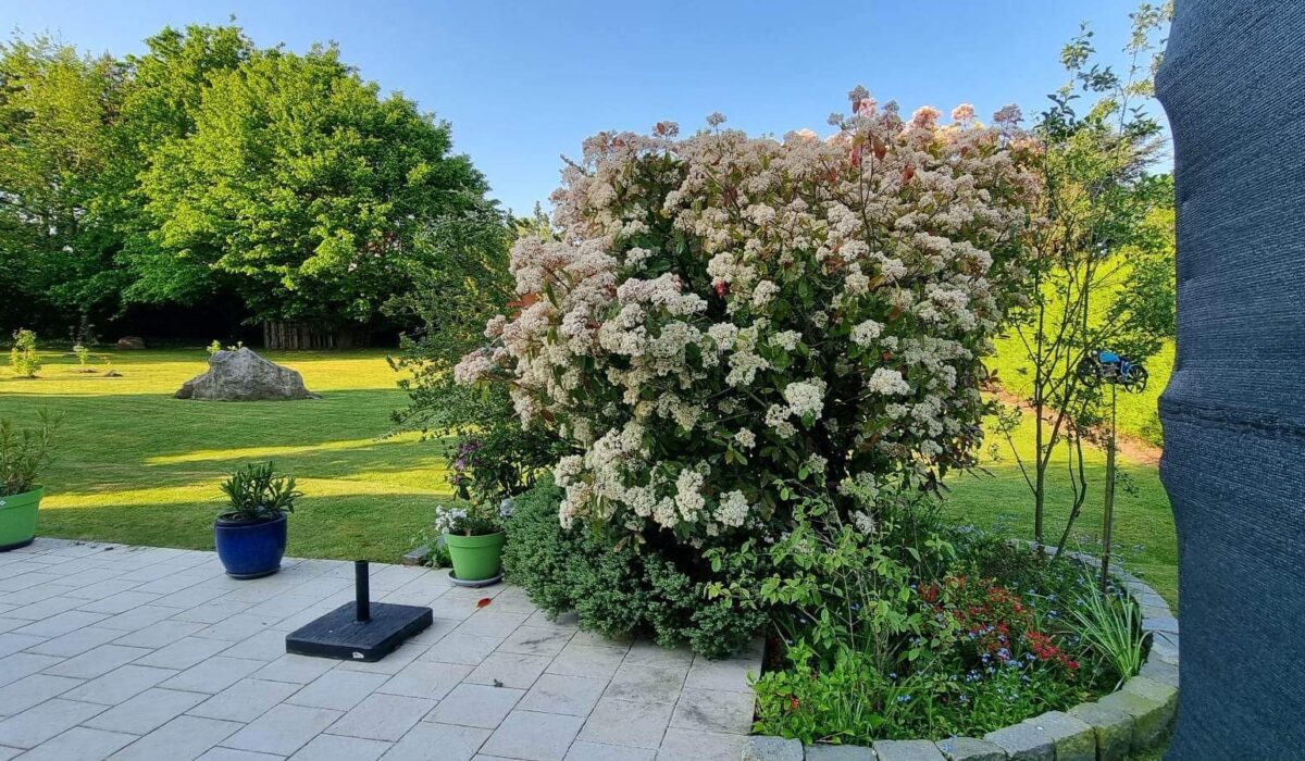 Tonte, désherbage, élagage d'un jardin d'agrément