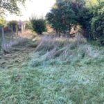 Un terrain abandonné quelques années est à faucher avant de tondre