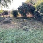 Le terrain est 'abord fauché mécaniquement
