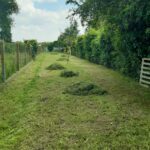 Après fauchage, ramassage de l'herbe et mise en tas