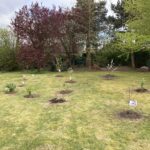 Plantation d'abres fruitiers en vue de créer un verger familial