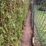 la totalité de la zone envahie de mauvaises herbes est nettoyée