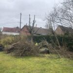 Je peux entreprendre l'élagage d'arbres de faible hauteur