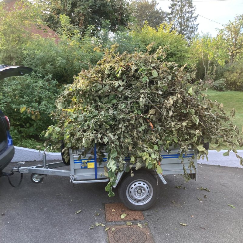 Une remorque bien pleine de branches après l'élagage d'un arbre